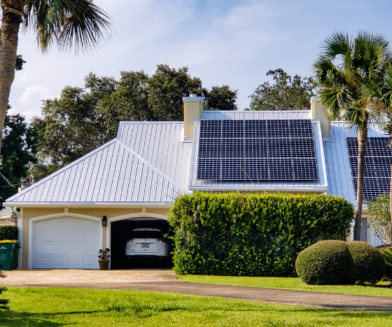 florida style home with solar panels and a palm tree in the front yard
