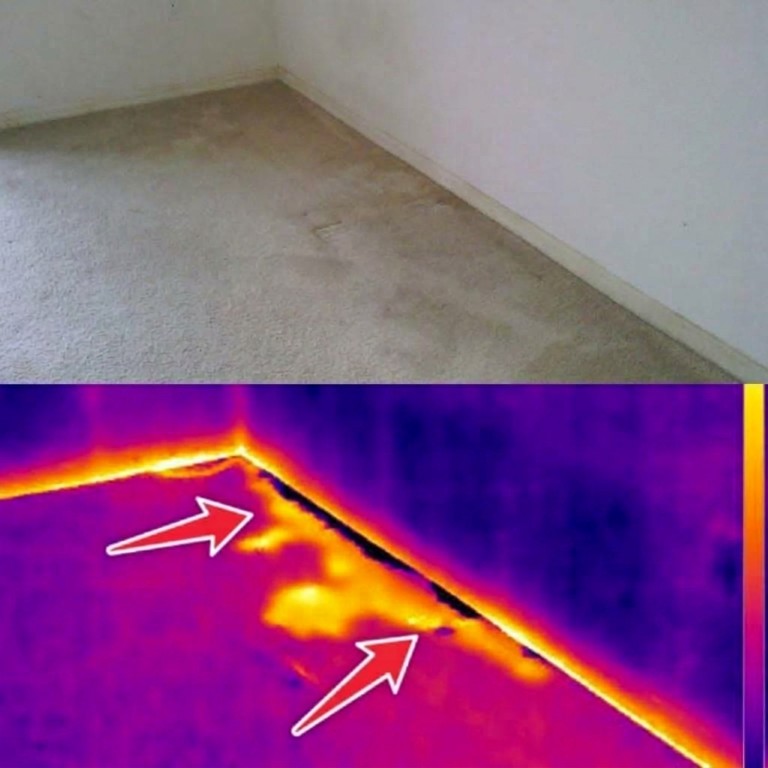 Water coming into a home near the exterior wall at the slab foundation. This was found with a infrared camera in orlando florida